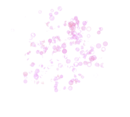 Captura de Pantalla 2022-03-05 a la(s) 8.43_edited.png