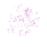 Captura de Pantalla 2022-03-05 a la(s) 8.43_edited.png