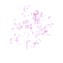 Captura de Pantalla 2022-03-05 a la(s) 8.43_edited.png