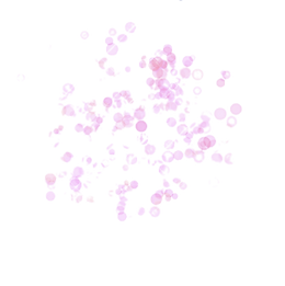 Captura de Pantalla 2022-03-05 a la(s) 8.43_edited.png