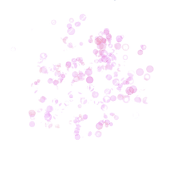 Captura de Pantalla 2022-03-05 a la(s) 8.43_edited.png