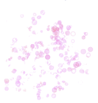 Captura de Pantalla 2022-03-05 a la(s) 8.43_edited.png