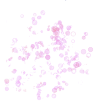 Captura de Pantalla 2022-03-05 a la(s) 8.43_edited.png