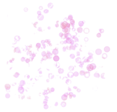 Captura de Pantalla 2022-03-05 a la(s) 8.43_edited.png