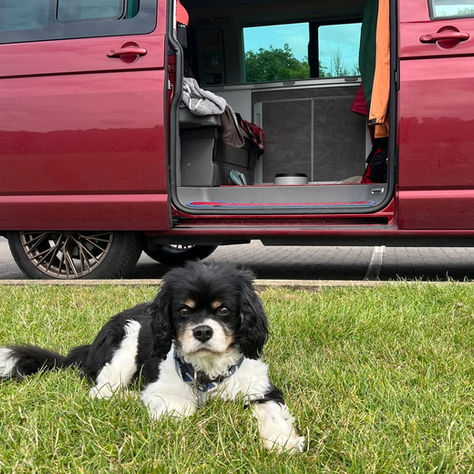 I'm OK (and other news from the road)