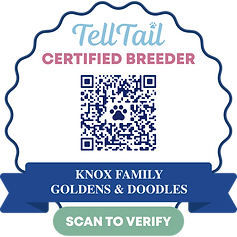certified_badge_certifiedBadge (1).png