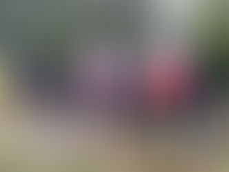 Commémoration du cinquantenaire du monument des Chasseurs sur le HWK