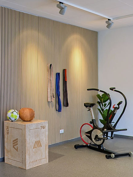 Fitballness Base - Keiser