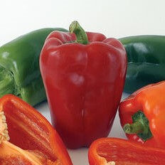 Pepper, transplant, Sweet Bell