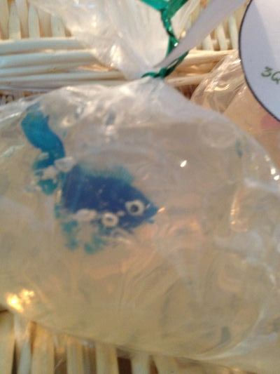 Thumbnail: Take Me Home Soap (Fish in Bag)