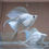 Thumbnail: Platinum Dove Hifin Lyretail Molly