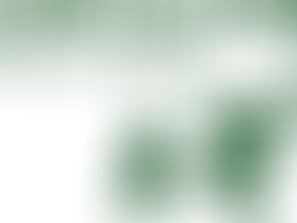 Elecziun dil menader da scola