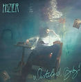 hozier wasteland baby album cover.jpg