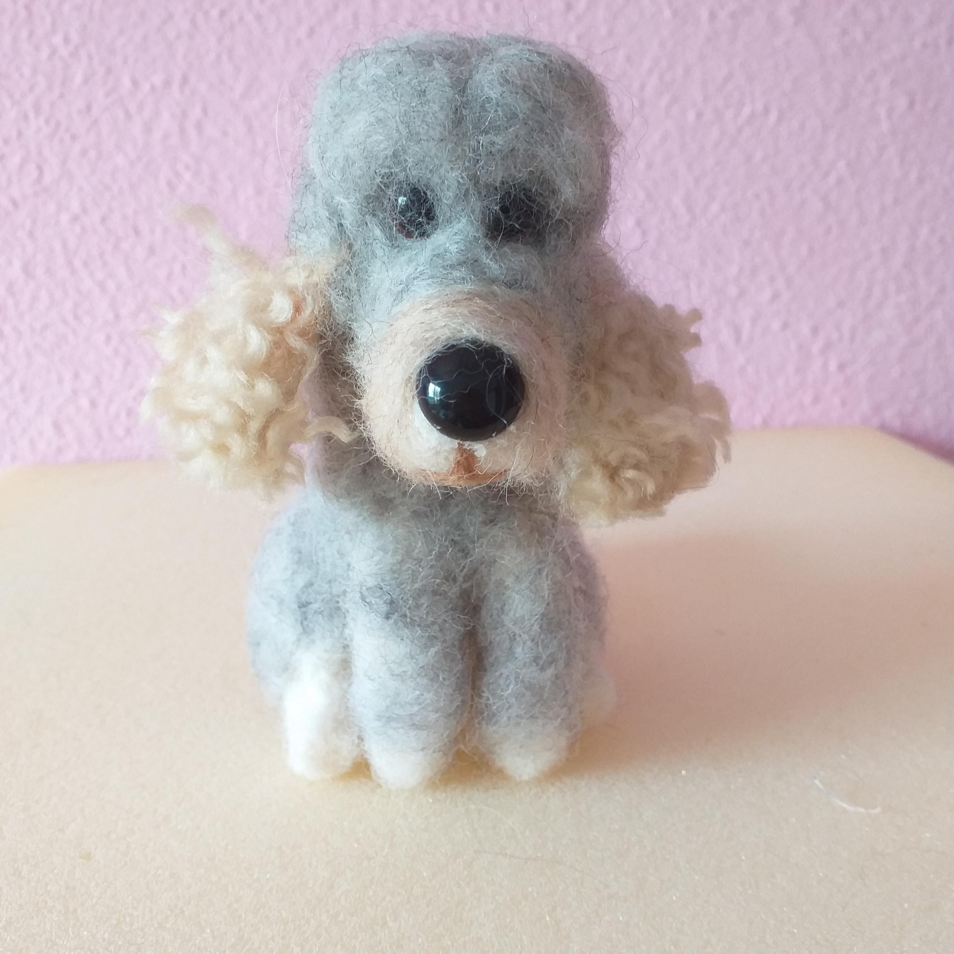 Grifon dog