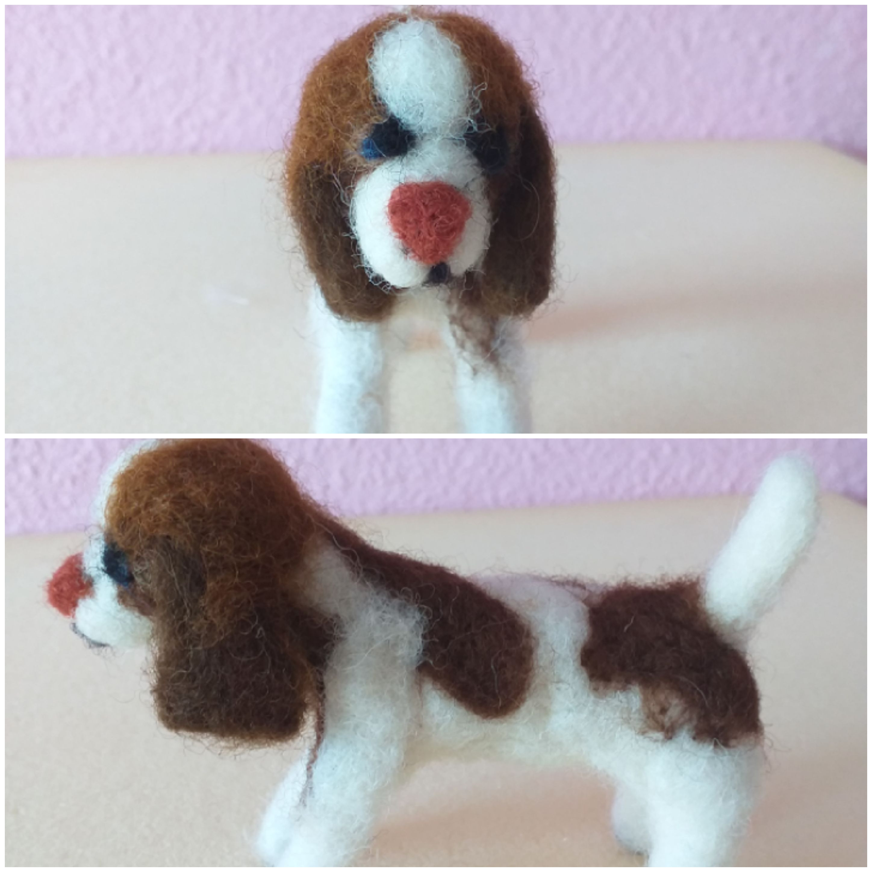Springer dog puppy