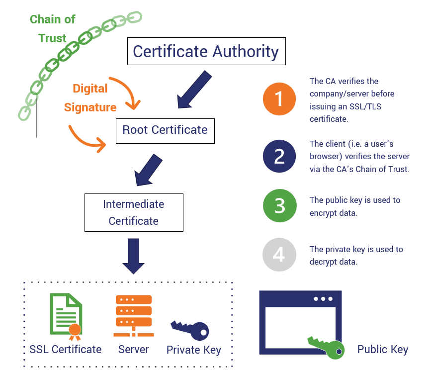 The relationship between the Certificate Authority, PKI and SSL protocols.
