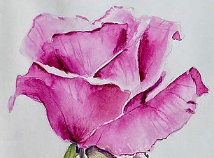 ROSE PAINTING_edited.jpg
