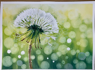 Dandelion Painting.JPG