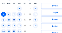 Online booking calendar for luxfoxmedia.ai showing appointment availability and central time slots