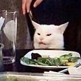 Angry Meme Cat 