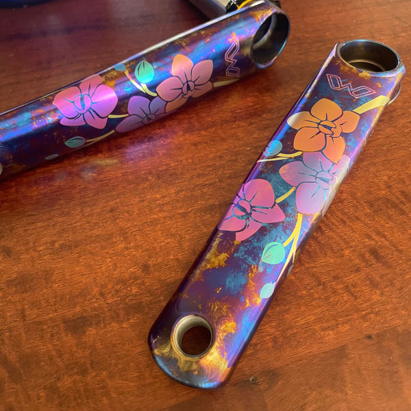 eeWings — Ornate Orchid