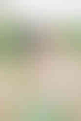 a family photoshoot at the Nocatee Kayak/Paddle Launch in Ponte Vedra, Florida