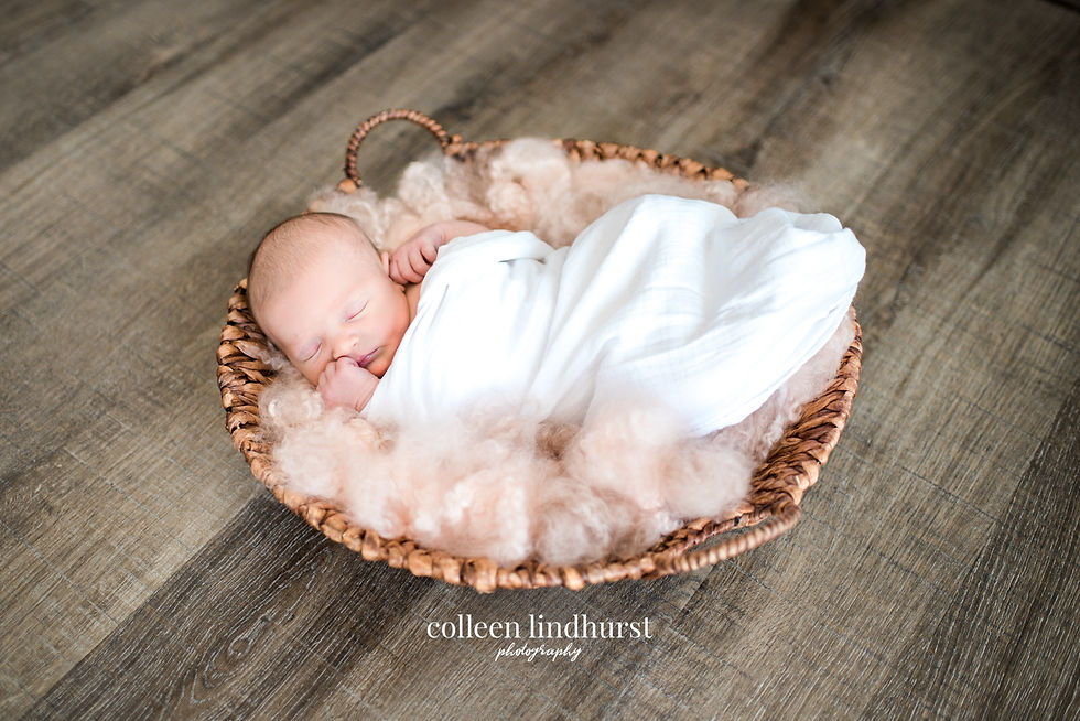 newborn in-home lifestyle photography light and airy baby girl in basket natural prop columbus ohio