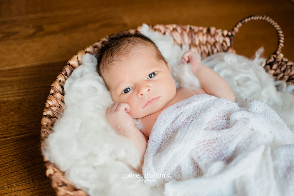 newborn photography lifestyle columbus ohio