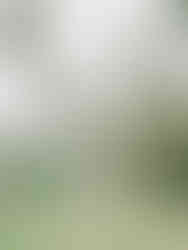 maternity photo session st. augustine florida in washington oaks