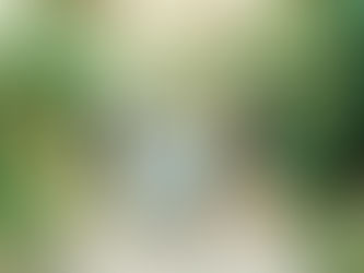 Sunrise Wooded Extended Family Session | Ponte Vedra, Florida