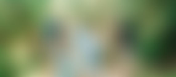 Sunrise Wooded Extended Family Session | Ponte Vedra, Florida