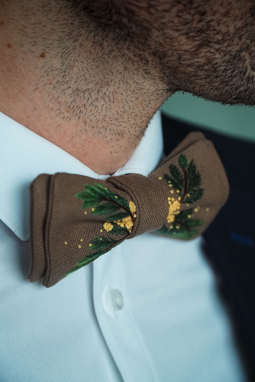 Miniature : Noeud papillon "Antoine"