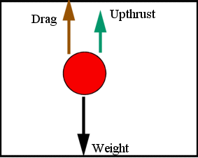 Upthrust (U)