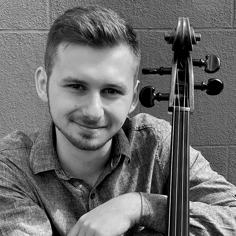Violoncelo_LudwigHuhn.webp