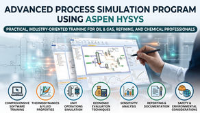 Advanced Process Simulation Program