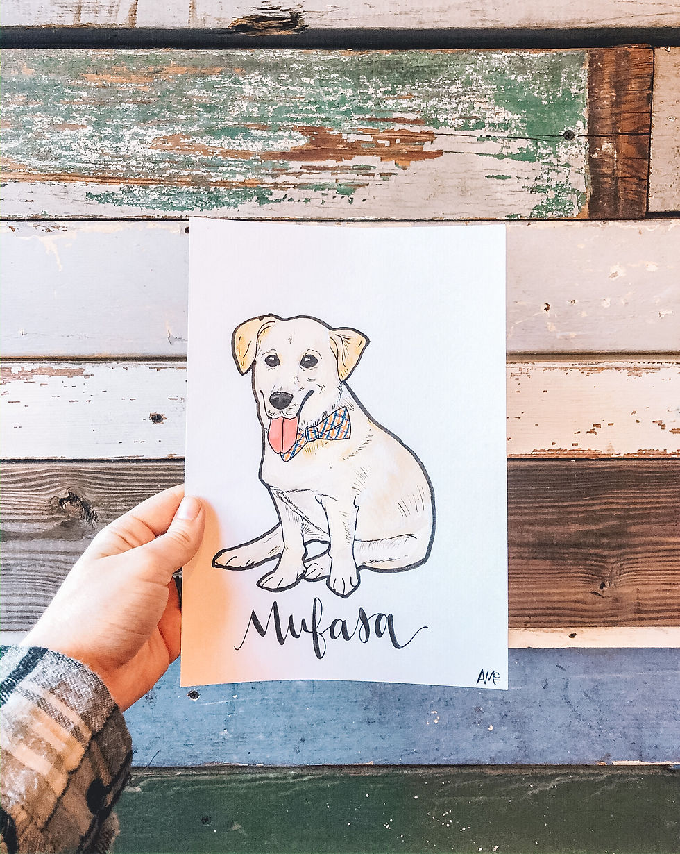 Thumbnail: PET PORTRAITS