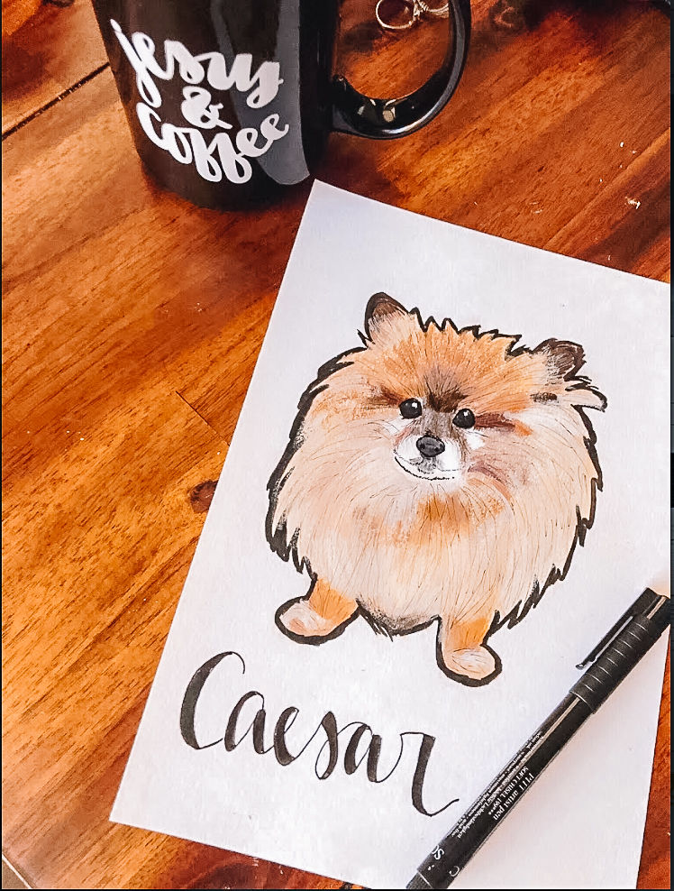 Thumbnail: PET PORTRAITS