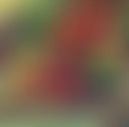 Roasted Tomato Salsa (for Canning)