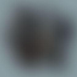 ARTIST INTERVIEW SERIES:         Anthony Tremmaglia