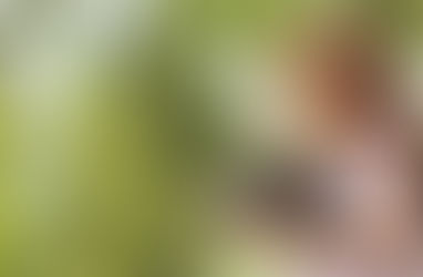 No Shame – Confidence!