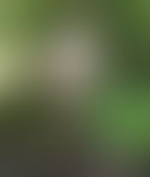 各国12大奇葩法规！很奇葩但很实用！！！