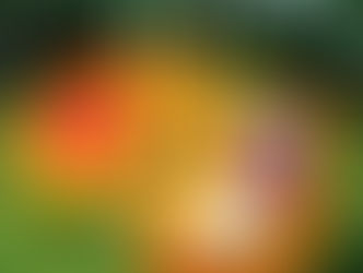 8大超实在艺术作品