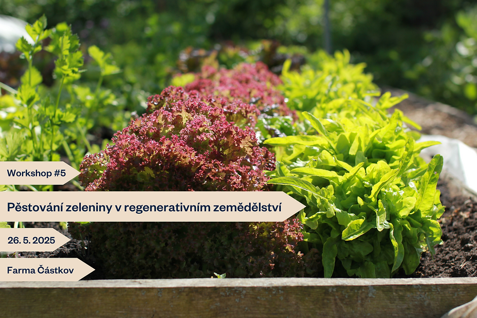 #5: Workshop: Pěstování zeleniny v regenerativním zemědělství