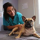loli-darmon-osteopathe-animalier-paris-normandie.jpg