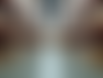 Как VETUS COMMERCE помогает развивать ваш бизнес