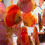 Thumbnail: Red Melon