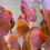 Miniaturbild: Yellow Golden Meave