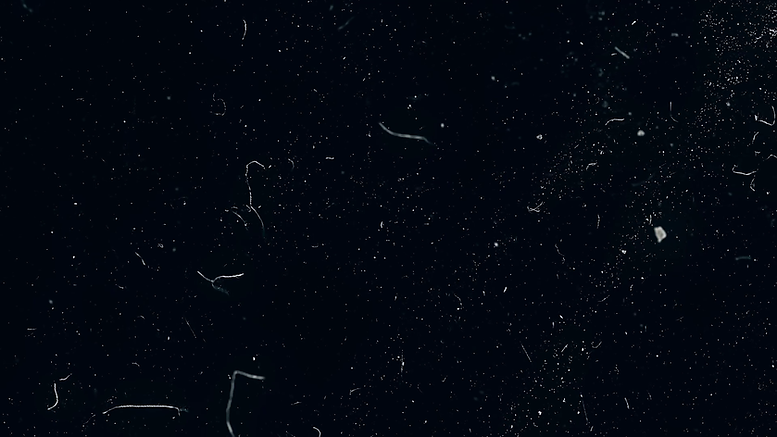 6620100_preview.png