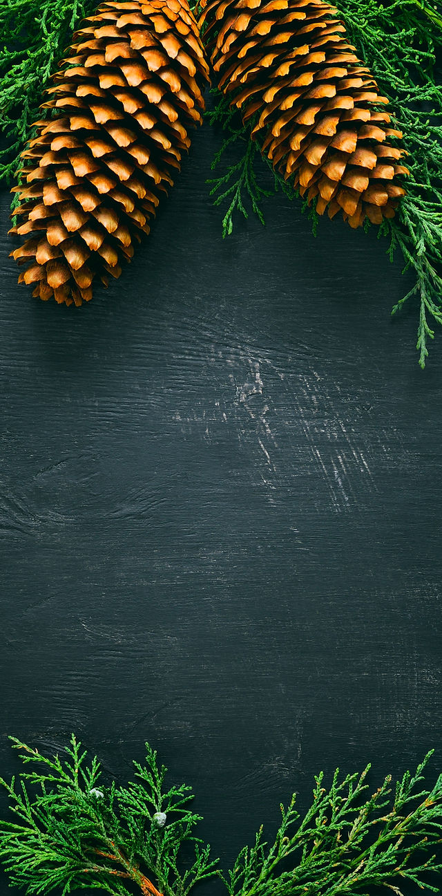 Harpers Ferry Christmas 2022 Home | Harpers Ferry/Bolivar Olde Tyme Christmas