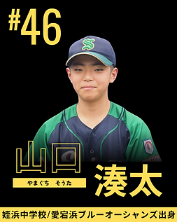 9期HP.png